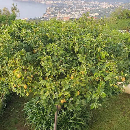 Apartamento La Grande Bellezza *